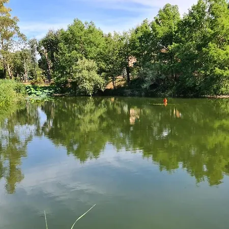 Les restanques du Golfe de SAINT TROPEZ, résidence Pierre et Vacances Grimaud Exterior foto